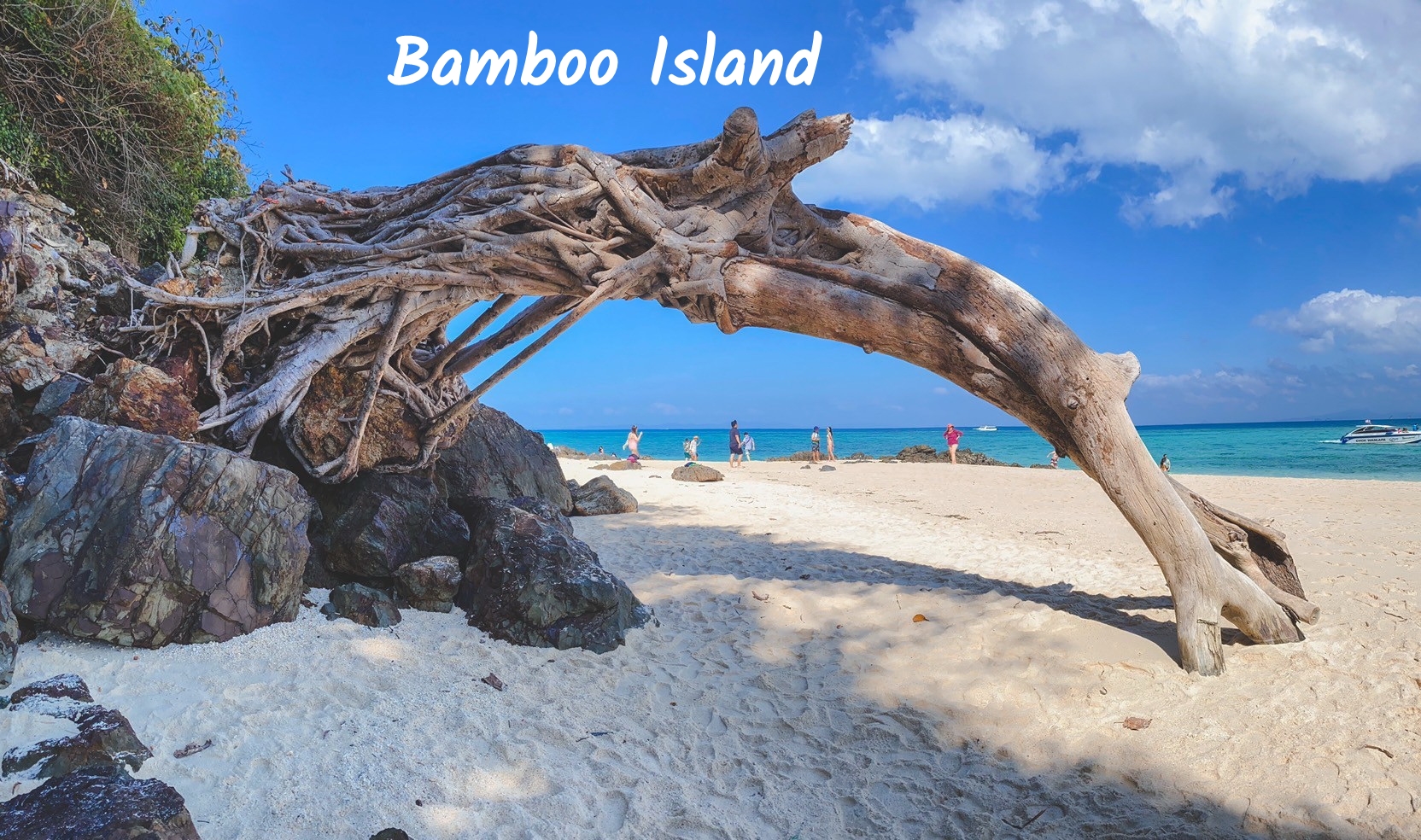 PHI PHI + MAYA + BAMBOO ISLAND DAY TRIP BY SPEEDBOAT