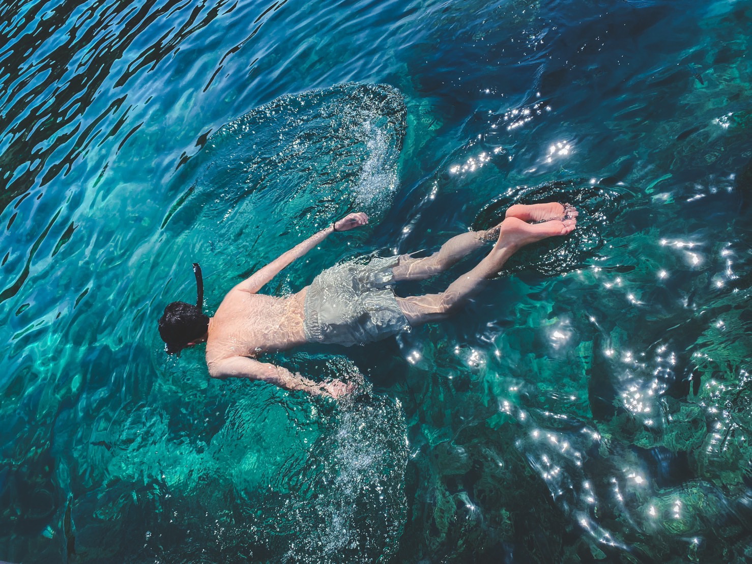 PHI PHI + MAYA + BAMBOO ISLAND DAY TRIP BY SPEEDBOAT